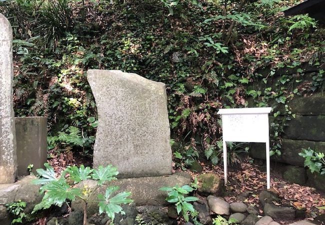 神社の鳥居のすぐ横にある