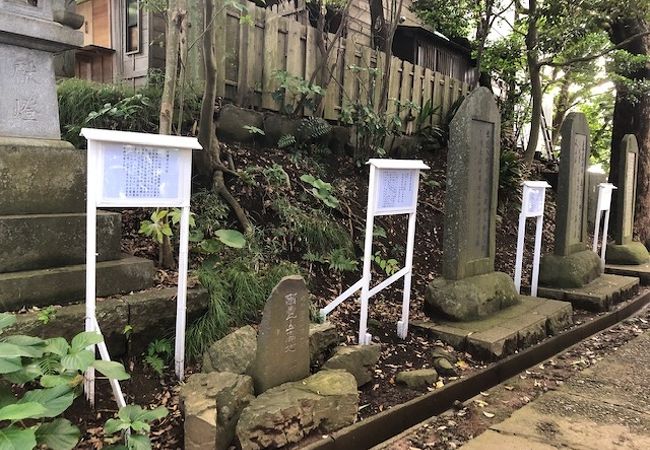 「爾霊山高地」は「２０３高地」のこと