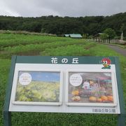 里山がまるごと公園になった広大な施設　ファミリー向け