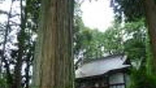 永塚浅間神社 (山神社)