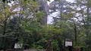 車、バスで直接アクセス可