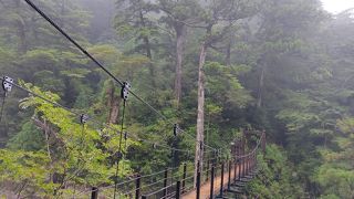 ネーミングに反して硬派なところ