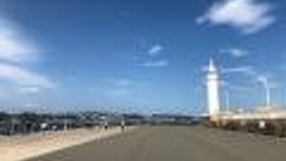 湘南の海岸が一望