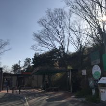 トイレが近い。