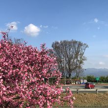 見晴らしがいい