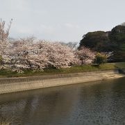 天拝山麓に広がる大きな広場