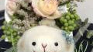 北海道雑貨とORGANIC DRINK STAND 山麓デザイン