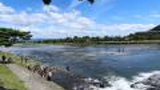 鴨川とは違った雰囲気