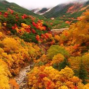 10/10 紅葉　層雲峡