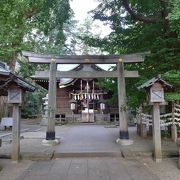 富士塚がある神社