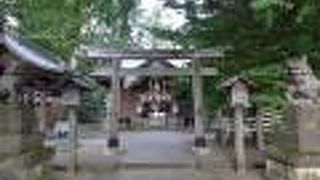 富士塚がある神社