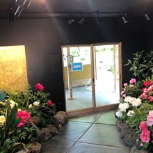 1年中、牡丹が見られる！