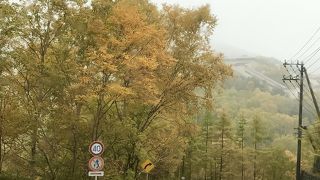 万座温泉近は紅葉が始まり、ドライブが楽しい！