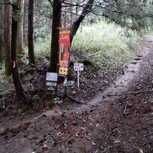 かなりの急坂（階段は崩れかかっています）