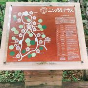 ニングルテラス クチコミ アクセス 営業時間 富良野 フォートラベル
