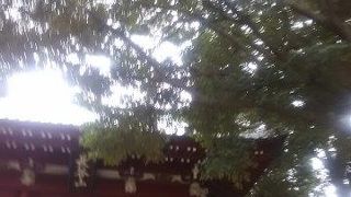 徳川にゆかりのある歴史のあるお寺