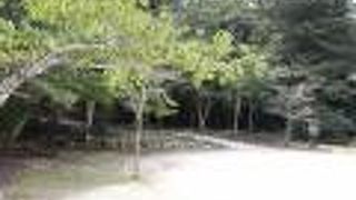 散策が気持ちいい