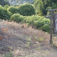 道路の案内板