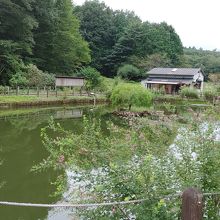 オフシーズンの菖蒲田