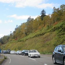 駐車場待ちの車