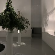 「記憶の珍味　諏訪綾子展」