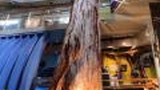 展示は良かった。映像放送はちょっとムダ