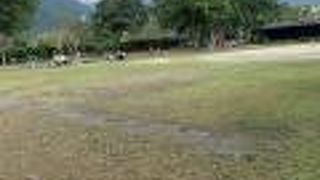 湯の坪街道沿いにあります