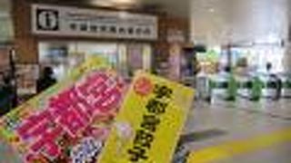 餃子で有名な宇都宮です