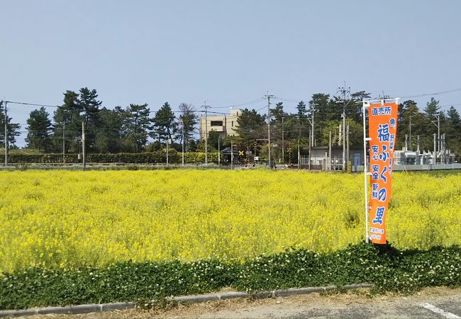 糸島市 前原のお土産屋 直売所 特産品 クチコミ人気ランキングtop3 フォートラベル 福岡県 糸島市 前原のお土産屋 直売所 特産品 クチコミ人気ランキングtop3 フォートラベル 福岡県