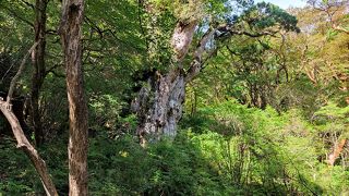 年々見づらくなってきている