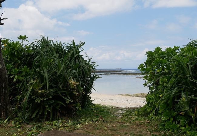 池治海水浴場 クチコミ アクセス 営業時間 喜界島 フォートラベル