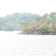 十和田湖内の紅葉しかけた島