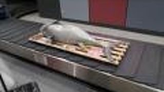 青森らしいモノが手荷物受取場に