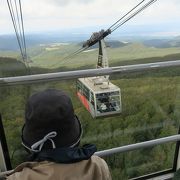 わずか10分で山上の草紅葉へ