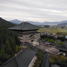 5階から見た大仏殿