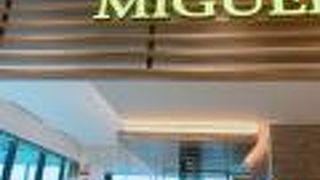 スペインからきた