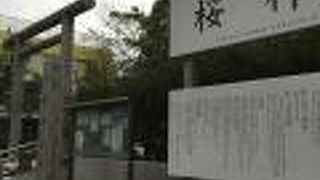 思っていたよりもこじんまり