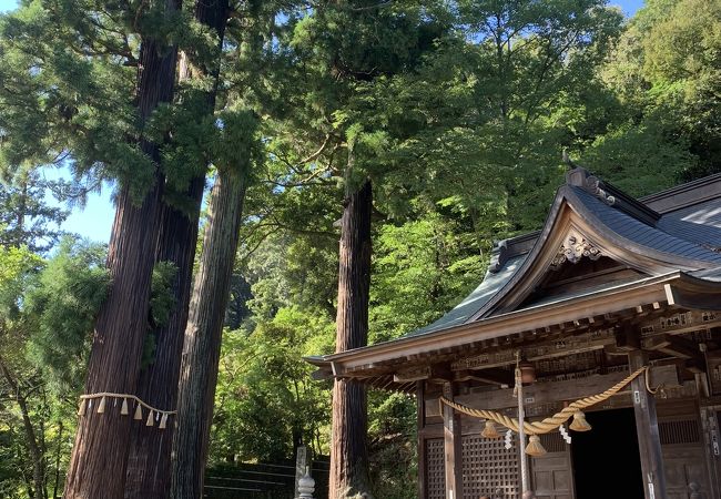 日枝神社 クチコミ アクセス 営業時間 修善寺温泉 フォートラベル