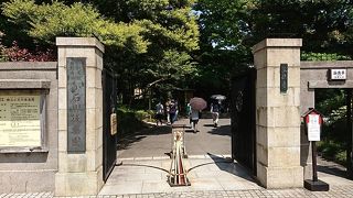緑の多い素敵な庭園