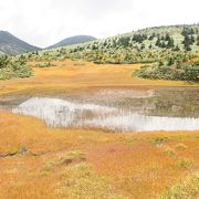 山上の草紅葉、紅葉を散策