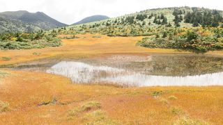 山上の草紅葉、紅葉を散策