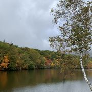 紅葉の時期が最高