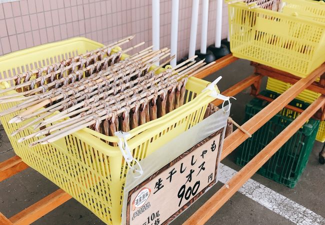 生干ししゃも　「カネダイ　大野商店」　勇払郡むかわ町