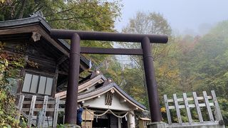 すごい神社です