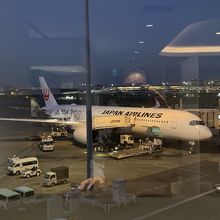 まだ日が開けない時間帯