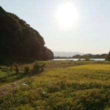 裾広がりは傾いた夕陽の方角