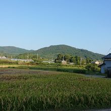 箸墓古墳から見た三輪山