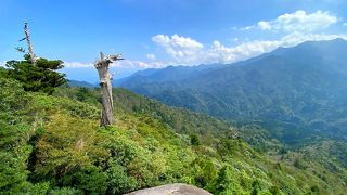 苔むした森の先のパノラマ