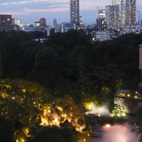 ガーデンビューのお部屋から見える雲海と庭園。