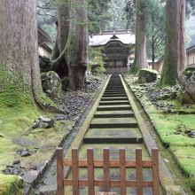 ここまでしか行けません